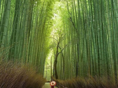 Arashiyama