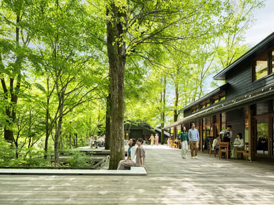 Harunire Terrace