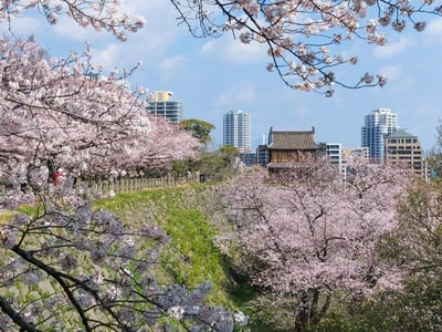 Maizuru Park