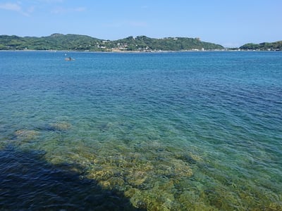 Itoshima