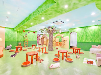 mipig cafe Harajuku