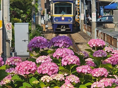 Kamakura