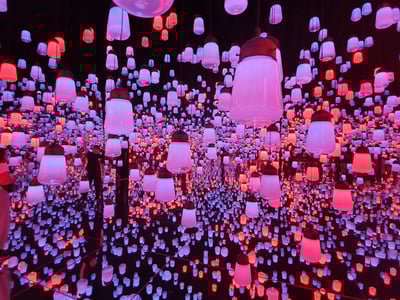 teamLab Borderless: MORI Building DIGITAL ART MUSEUM