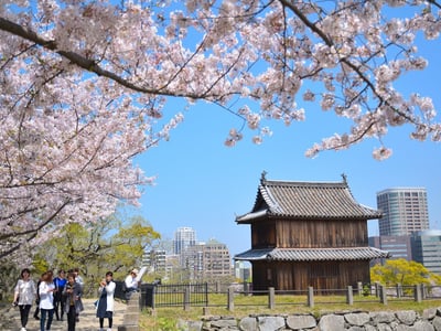 Fukuoka Castle Ruins