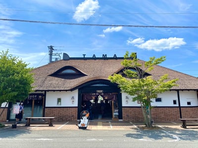 기시