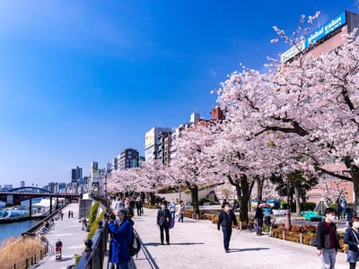 Sumida Park