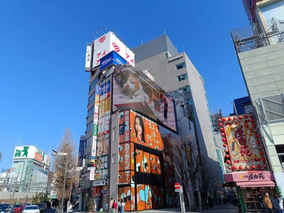 3D cat Cross Shinjuku Space