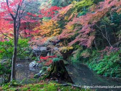Nanzenin Garden