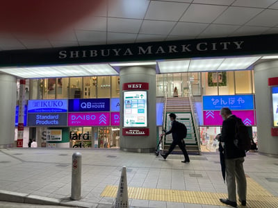 Daiso Shibuya Mark City Store