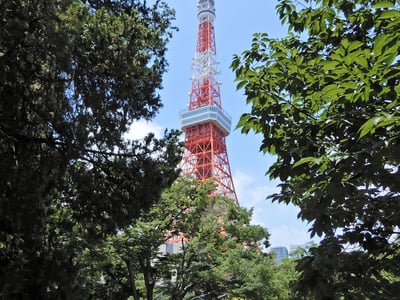 Nobinobi Playground
