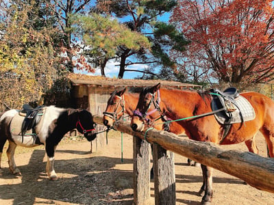 Makiba Karuizawa