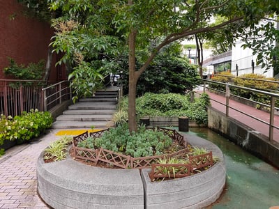 旧渋谷川遊歩道路